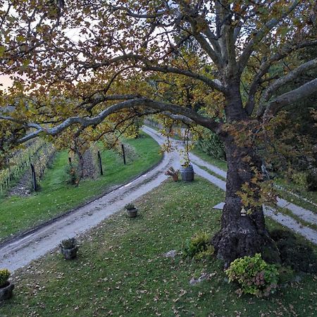 Castel San Mauro Hotel Gorizia Bagian luar foto