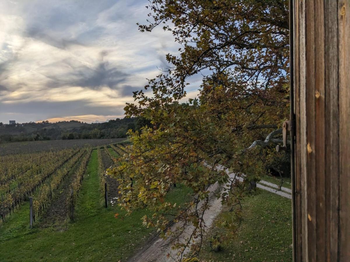 Castel San Mauro Hotel Gorizia Bagian luar foto