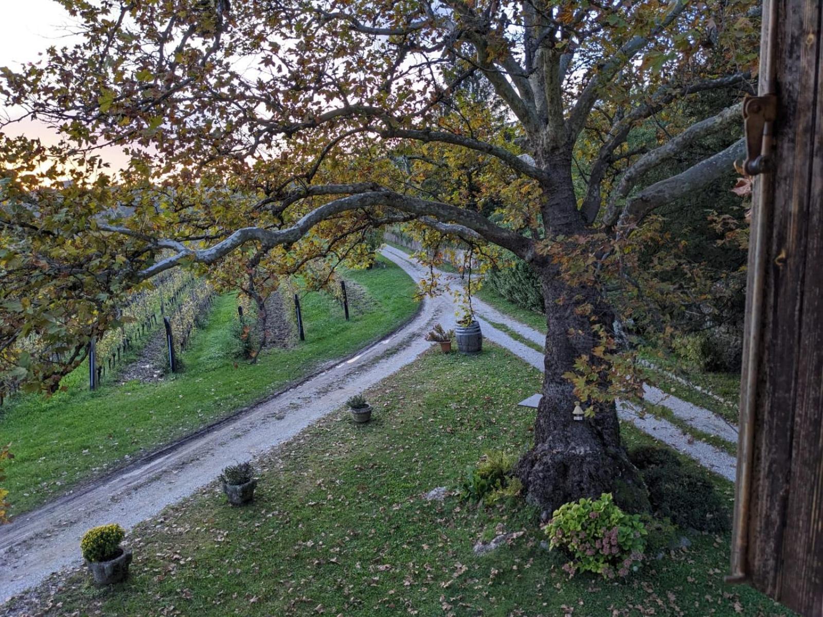 Castel San Mauro Hotel Gorizia Bagian luar foto